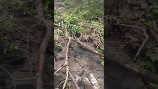 We found a hidden waterfall on Con Dao island