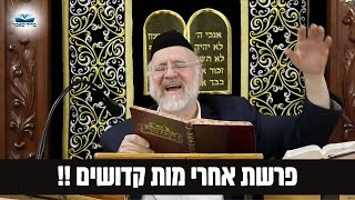 הרב ברוך רוזנבלום פרשת אחרי מות קדושים תשפ"ה - מבקשי ה' אלעד • שידור חי (הרב ברוך רוזנבלום) - התמונה מוצגת ישירות מתוך אתר האינטרנט יוטיוב. זכויות היוצרים בתמונה שייכות ליוצרה. קישור קרדיט למקור התוכן נמצא בתוך דף הסרטון
