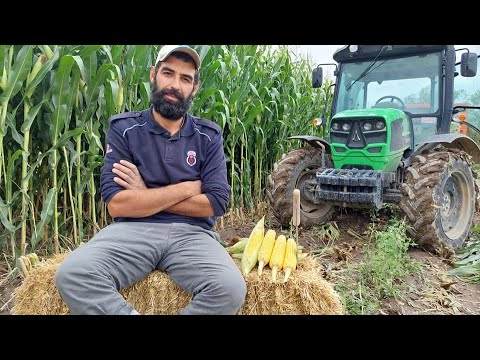 A STORY OF RISING UP! THE RETURN OF THE PRISON GUARD OFFICER WHO ESCAPE THE DEAD!