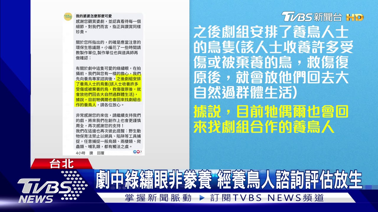 「婆婆」野放綠繡眼惹議 劇組道歉:不良示範
