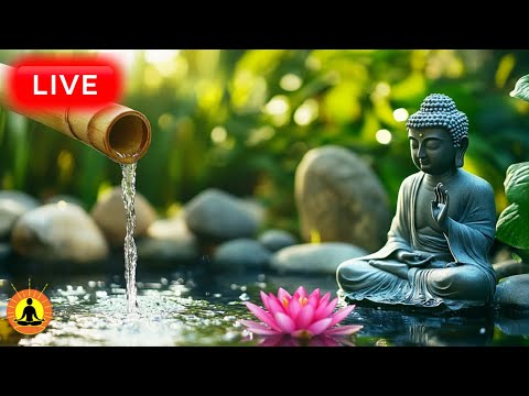 🔴 Relaxing Healing Zen Music 24/7, Sounds of Water, Relaxing Music, Meditation Music, Peaceful Music