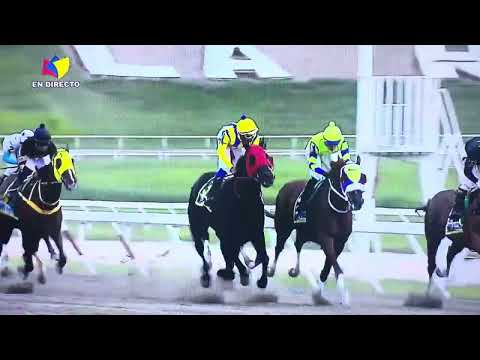 De Froix 🇻🇪 Horses are not machines