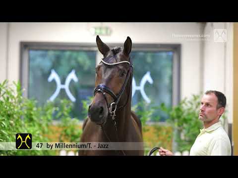 Verden Stallion Licensing 2021 - Dressage -  Nov. 4-6 - No. 47 Stallion by Millennium/T. - Jazz