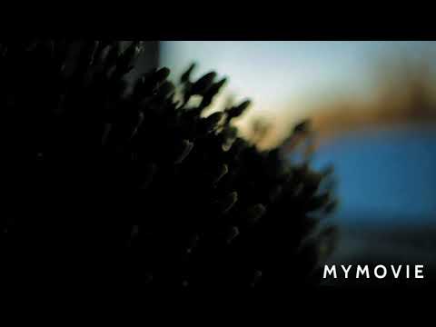 relax music  under water