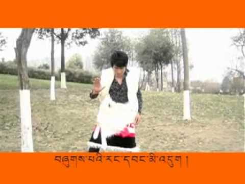 Tibetan song 2012  གངས་སེང་དཀར་མོའི་ངར་སྒྲ།