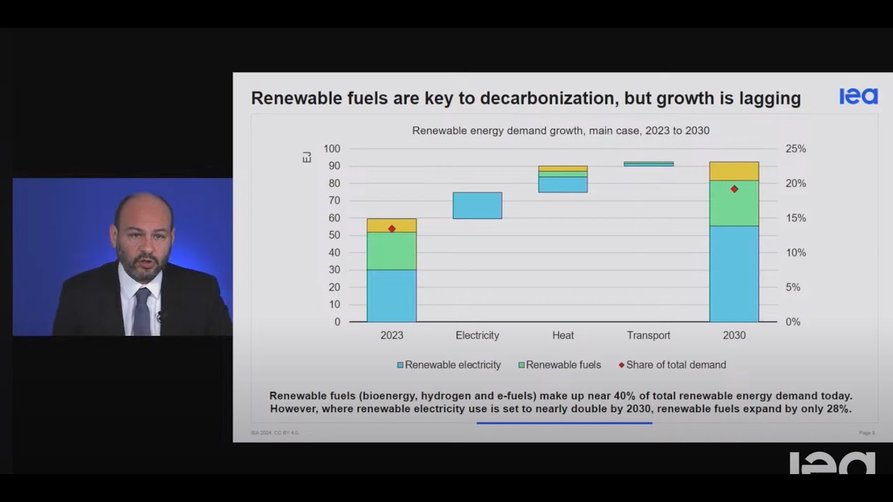 Renewables 2024