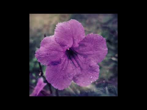 Ofra Haza - Shecharchoret (Morenica) I SLOWED