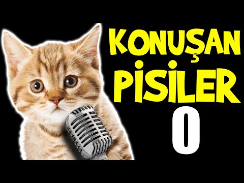 Konuşan Pisiler 0 - En Komik Kedi Videoları