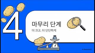 대박 감자 공식  전남 보성등 남부지방 기준 단계별 다조아 시비 가이드. 주문 및 상담은 010-6570-2…