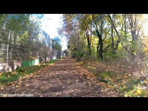 Goldene Herbstrunde Bicycle Rhein Main #1