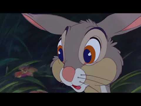 jumbo and the gatsby Part 10  - What is a Baby/La La Lu