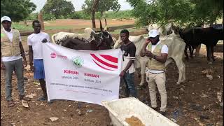 VIDEO 2021 07 15 15 11 46