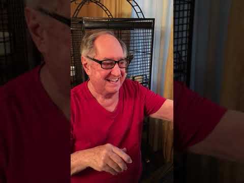 Today's Medley - 4/13/2020