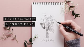 How To Draw Sweet Peas + Lily of the Valley | Floral Illustration