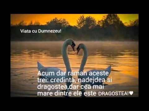 Bianca Ciorcas (Zaha)- Doamne Tu imi esti lumina mea