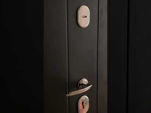 Входная дверь