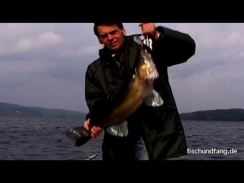 Bankruptcies, bad luck and mishaps