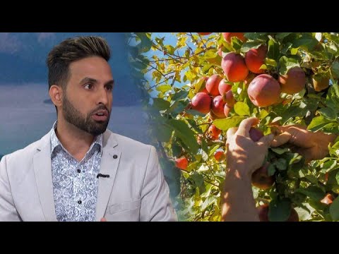 Former migrant fruit picker who was exploited says industry conditions haven’t improved