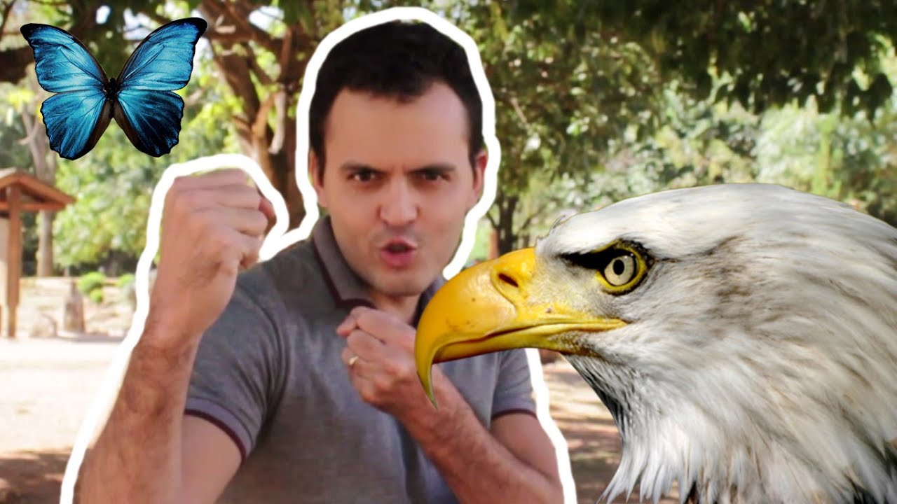 O Poder Dos Arquétipos | Símbolos de Prosperidade, Poder e Força!  #hacksmentais