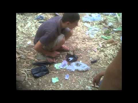 EEB CLICKA EL TENSO Y EL FRODO - "PENSION TENSION"