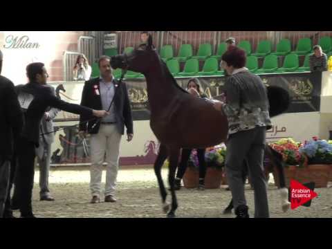 Milan 2017 - Class 1A