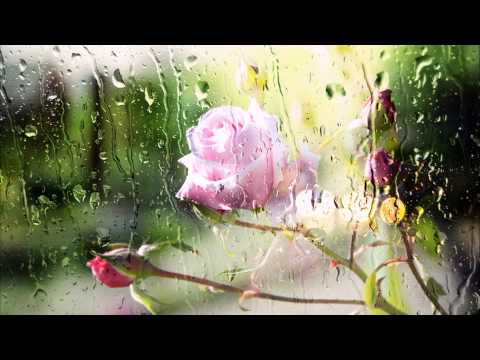 Melodic Brothers & Bryan Milton -  Summer Rain (Original mix)