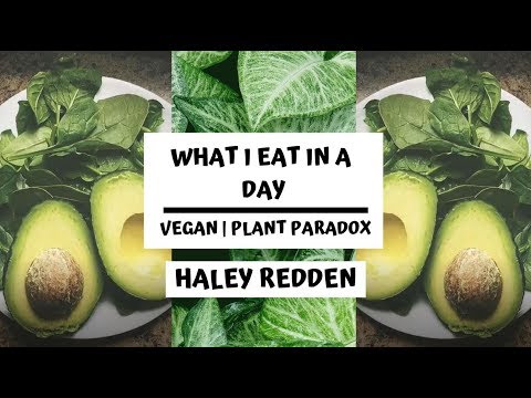 download lagu mp3 mp4 Plant Paradox Vegan Recipes, download lagu Plant Paradox Vegan Recipes gratis, unduh video klip Plant Paradox Vegan Recipes