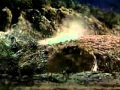 I Come In Peace (War of the Worlds) Dubstep ...
