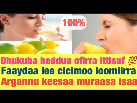 Dhukuboota hedduu ofirra ittisuuf faaydaa lee cicimoo loomii irra argannu muraasa isaa