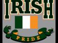 IRISH SONG ~ TRUE IRISHMAN 