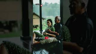 Download lagu Peaceful Rain, Warm Love | Romantic Life in Nature #rain #shorts #asmr #rainsound #asmrrain mp3 Download lagu Peaceful Rain, Warm Love | Romantic Life in Nature #rain #shorts #asmr #rainsound #asmrrain mp3