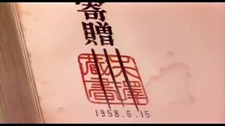 frank ocean - sierra leone (visuals)