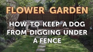 How to Keep a Dog From Digging Under a Fence