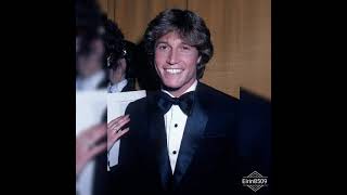 Bee Gees Spirits Having Flown