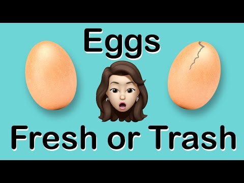 GOOD EGG OR BAD EGG?  How to Tell if Eggs are Fresh