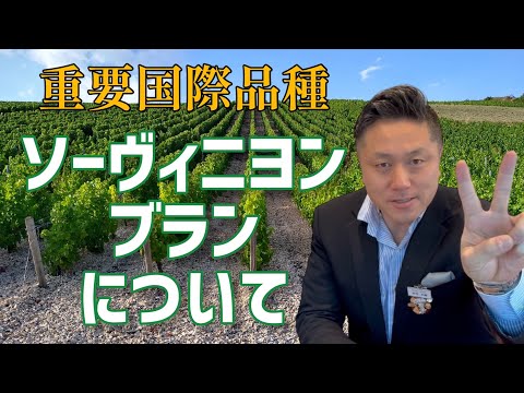 ジャニーヌ・シャスゲ=スミルゲルについて詳しく解説