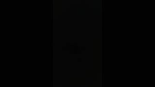 move over miss L (make a shadow [vol. 2])