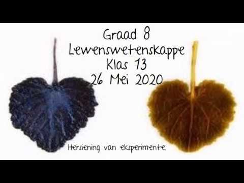 LEWENSWETENSKAP GRAAD 8: 26 Mei 2020 - periode 7 (26087)