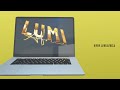 Lumi Business Intro