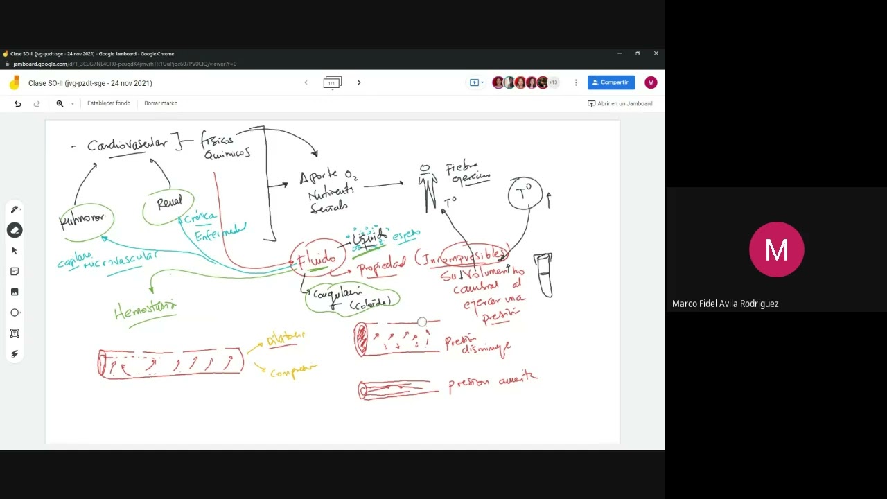 Hemostasia Plaquetas