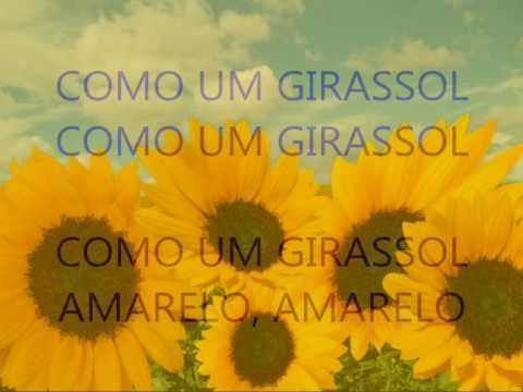 Girassol - Cidade Negra