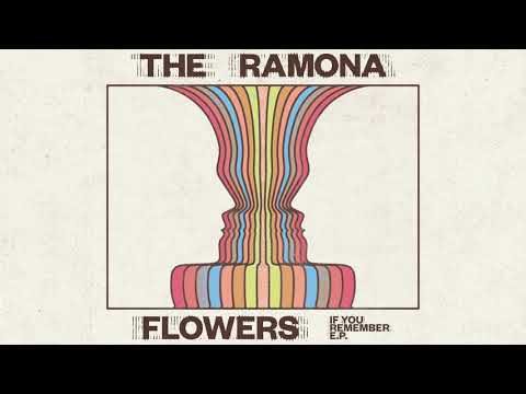 The Ramona Flowers - Ghost (Visualiser)