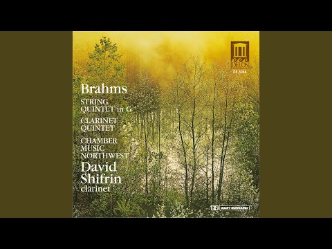 Clarinet Quintet in B Minor, Op. 115: III. Andantino - Presto non assai, ma con sentimento