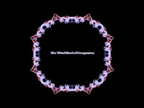 The Tilted Head of Compassion - Endless State of Memory