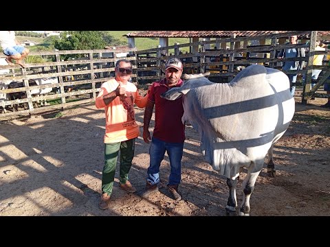 CONVERSANDO COM O PROFESSOR SALGADINHO NA FEIRA DE JOÃO ALFREDO PERNAMBUCO 