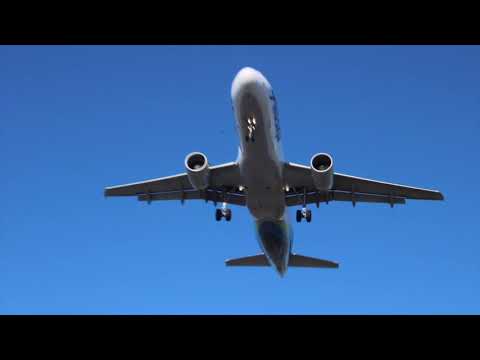 KILLO KILLO BANDA - Kalifornija (official video)