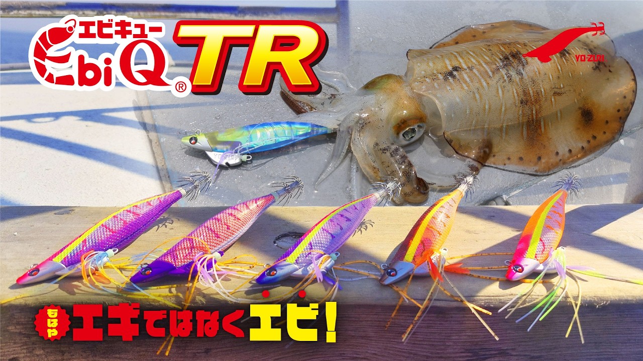 各メーカーTRエギ入り ティップランエギング セット 各メーカーTRエギ