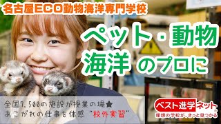 名古屋ECO動物海洋専門学校