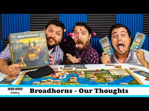 Never Bored Gaming - Our Thoughts