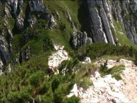 Monte Amariana dal Cristo di Forca - SentieriNatura 2009 - 16